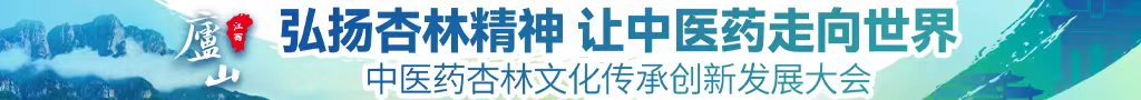 中国性爱老妇山雀凸轮视频中医药杏林文化传承创新发展大会